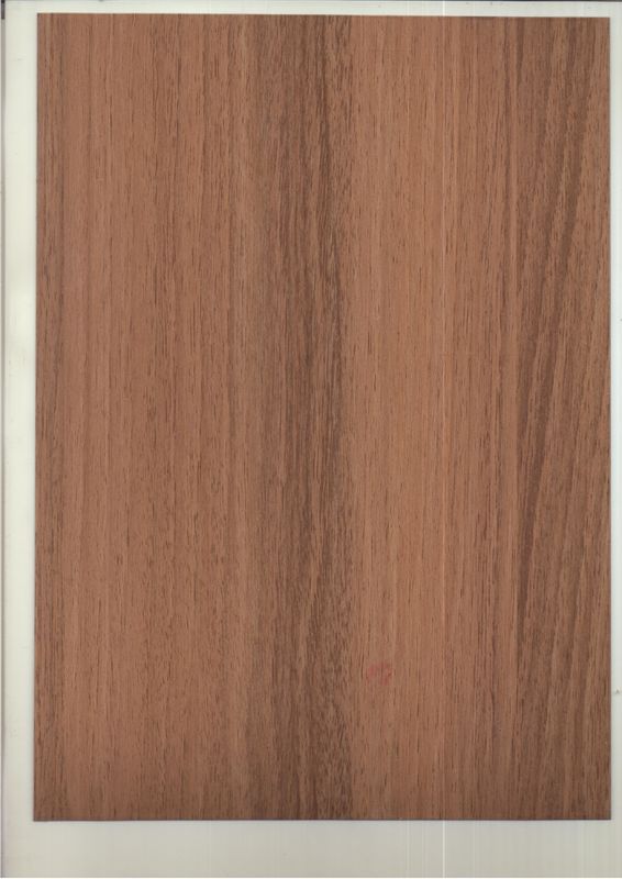Hölzerne Farbe-PET Kern-ACP-Wand-Umhüllungs-unzerbrechliches beschichtendes Ende